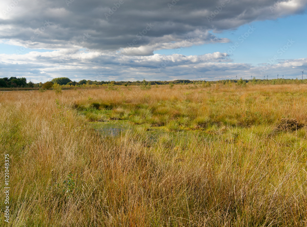 Landschaft im Oppenweher Moor im Naturpark Dümmer, Landkreis Diepholz, Niedersachsen, Deutschland Landschaft im Oppenweher Moor im Naturpark Dümmer, Landkreis Diepholz, Niedersachsen, Deutschland