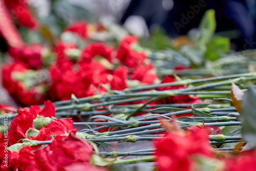 Carnations lie on the granite of the monument . Anniversary of the revolution of 1917. photo