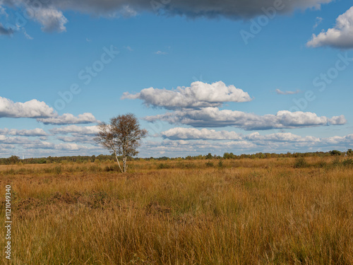 Landschaft im Oppenweher Moor im Naturpark Dümmer, Landkreis Diepholz, Niedersachsen, Deutschland