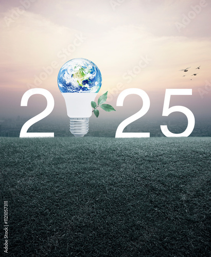 Fototapeta Naklejka Na Ścianę i Meble -  Earth globe inside led light bulb with leaves and 2025 on grass over city at sunset, vintage style, Happy new year 2025 ecology saving power and energy, Elements of this image furnished by NASA