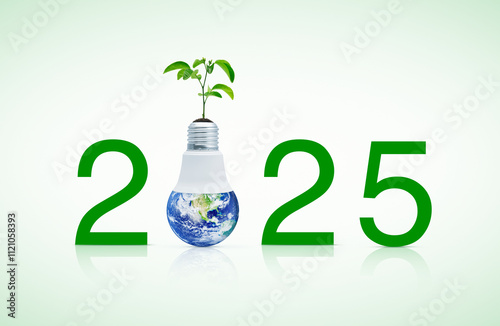 Fototapeta Naklejka Na Ścianę i Meble -  2025 text and earth globe inside led light bulb with fresh green tree leaves on soil, Happy new year 2025 ecology and saving energy concept, Elements of this image furnished by NASA