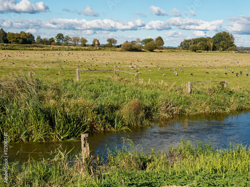 Die Hunte im Osterfeiner Moor am Dümmer See, Naturpark Dümmer, Landkreis Diepholz, Niedersachsen, Deutschland photo