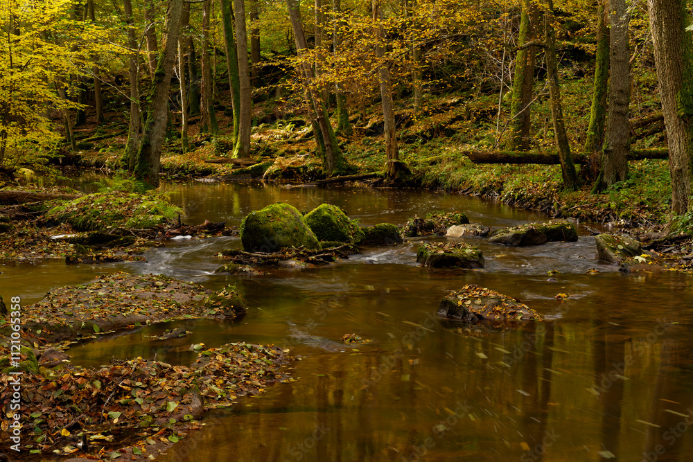 Der Flusslauf der Thulba in der Kernzone des Biosphärenreservats Rhön zwischen Oberthulba und Thulba, Landkreis Bad Kissingen, Unterfranken, Franken, Bayern, Deutschland Der Flusslauf der Thulba in der Kernzone des Biosphärenreservats Rhön zwischen Oberthulba und Thulba, Landkreis Bad Kissingen, Unterfranken, Franken, Bayern, Deutschland