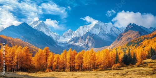 Golden autumn creates a stunning landscape in the mountains, showcasing the vibrant colors of golden foliage in the autumn season among the majestic peaks of the region.