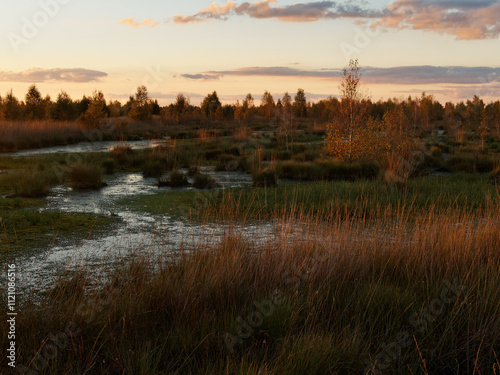 Abendstimmung im Rehdener Geestmoor bei Rehden, Naturpark Dümmer, Landkreis Diepholz, Niedersachsen, Deutschland photo