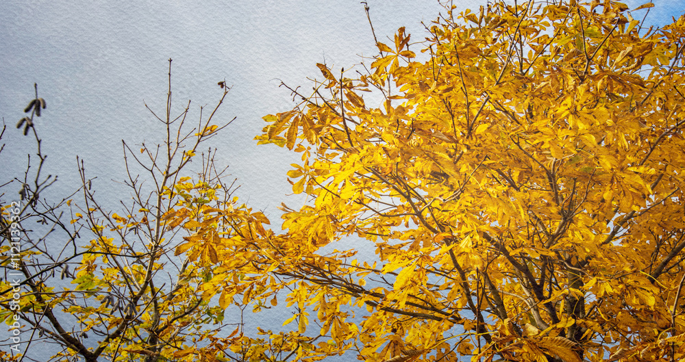 Tree with yellow leaves is in the foreground Tree with yellow leaves is in the foreground