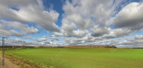 Fototapeta Naklejka Na Ścianę i Meble -  A field of grass with a cloudy sky in the background
