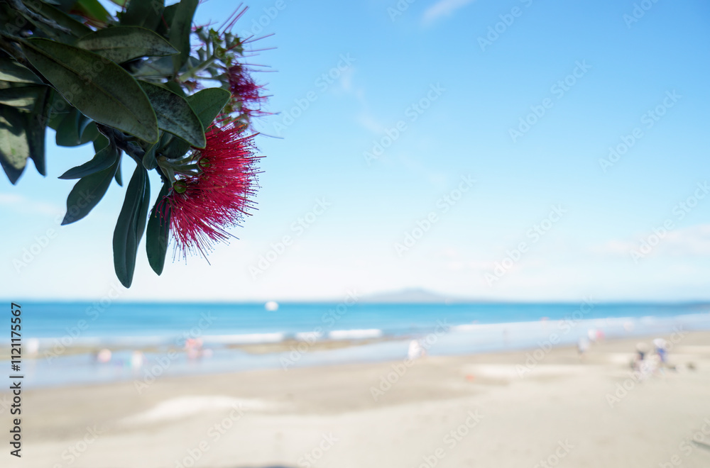 Pohutukawa trees in full bloom. Out-of-focus Rangitoto Island in the distance. Unrecognizable people playing on Takapuna beach. Auckland.