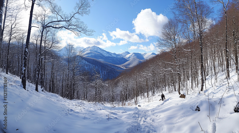 Winter hiking through a snowy forest with mountains in the background during a clear day Winter hiking through a snowy forest with mountains in the background during a clear day