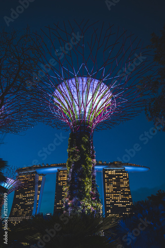 marina bay sands hotel in singapore nighttime photo