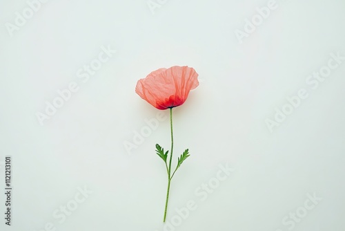 Poppy flower, alone, white background, high-definition, one by one. --ar 3:2 --v 6.1 Job ID: 02d5c278-6844-477c-a264-ee9f320893fd