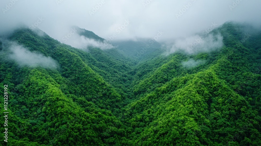 Fog rolling over lush green mountain forests creating a breathtaking landscape