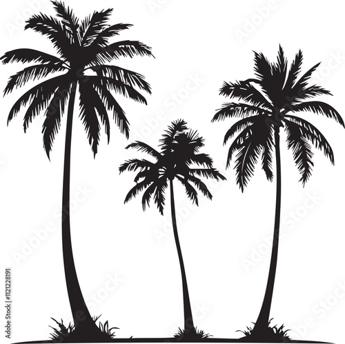 silhouette of coconut tree