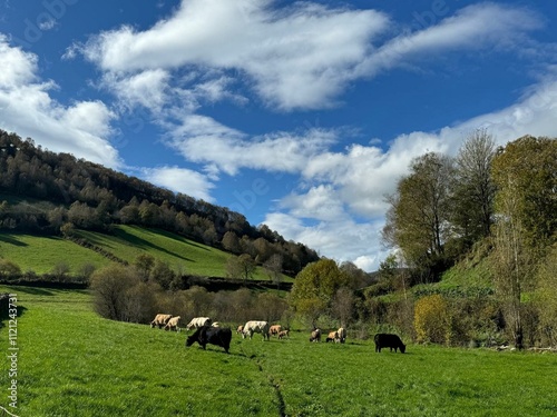 Panorámica de A Louzarela en Pedrafita do Cebreiro, Galicia