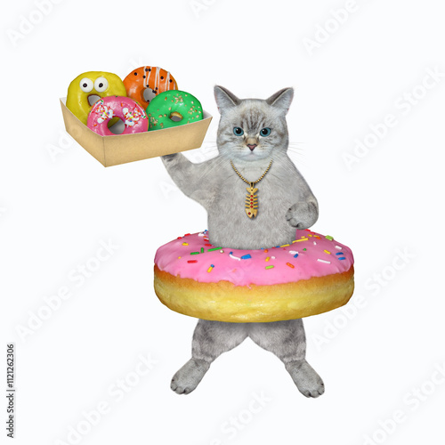 Cat ashen holding box of colorful donuts