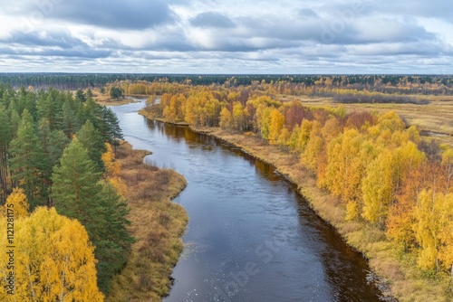 High Definition View of Aerial View From Drone River in the Forest, High Detail, 8K