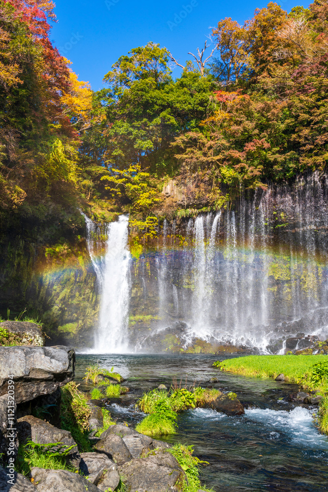Obraz premium 富士宮市から紅葉に彩られた白糸の滝にかかる虹