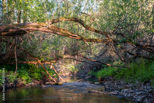 Flusslandschaft Selke Naturschutzgebiet Fernwanderweg Selketalstieg Harz photo