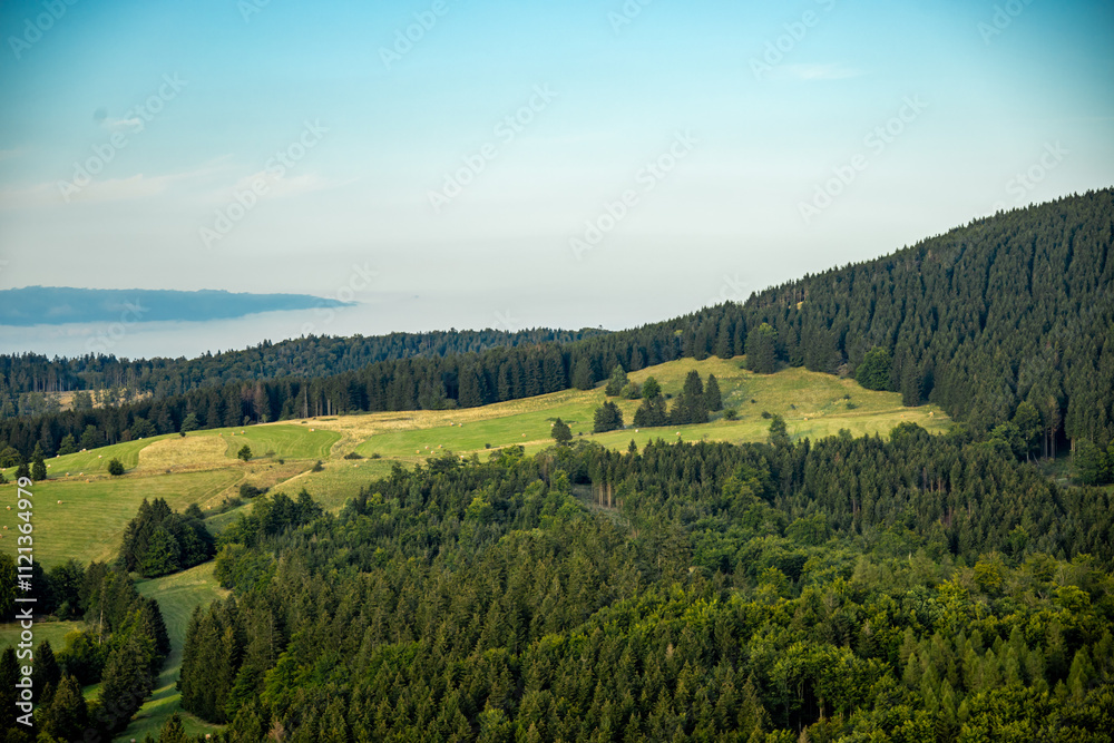 Naklejka premium Spätsommerwanderung an einen wunderschönen Abend zum Aussichtspunkt Haderholzstein bei Floh-Seligenthal - Thüringer Wald - Thüringen - Deutschland