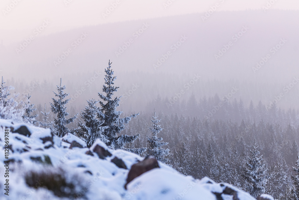 Sunset over a beautiful white winter landscape Sunset over a beautiful white winter landscape