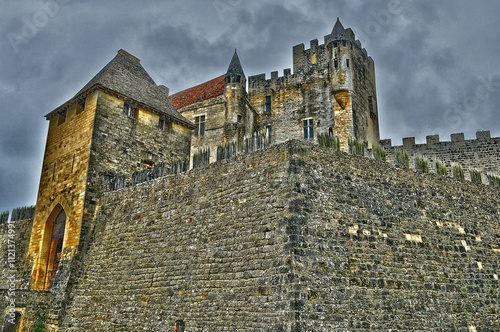 Beynac et Cazenac, France - august 18 2016 : the castle photo