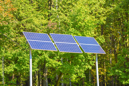 Solar panels in dense green jungle