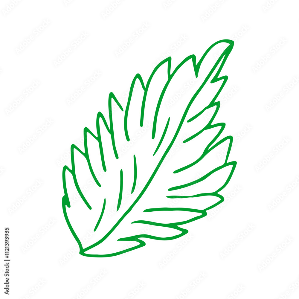 A hand-drawn green leaf outline, silhouette on a white background. An ecological symbol, an emblem, a logo of healthy nutrition. A hand-drawn green leaf outline, silhouette on a white background. An ecological symbol, an emblem, a logo of healthy nutrition.