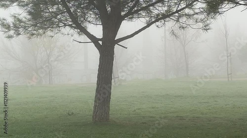 Misty fog enveloping sanchinarro park in madrid photo