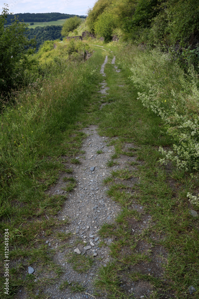 Rheinsteig trail between Lorch and Kaub - Hesse - Germany Rheinsteig trail between Lorch and Kaub - Hesse - Germany
