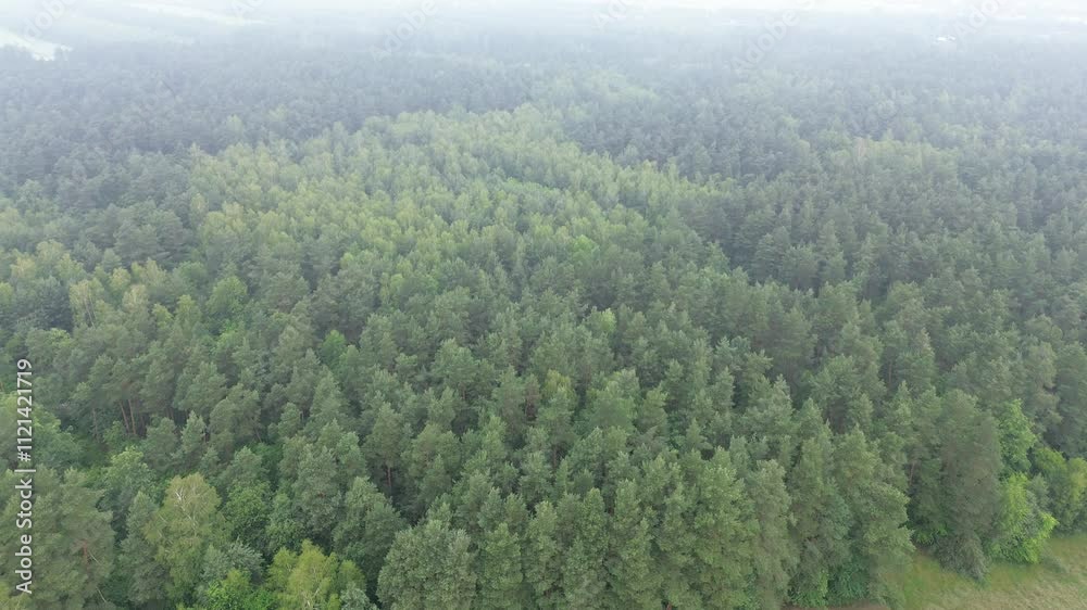 Tree-filled landscape aerial view Tree-filled landscape aerial view