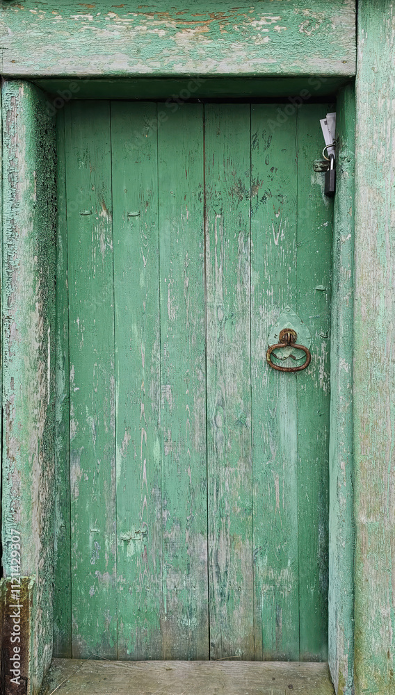 Texture of door leaf, gate Texture of door leaf, gate