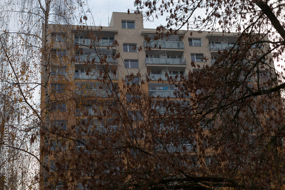 A tall building, featuring an abundance of windows, stands proudly surrounded by a lush group of trees, creating a serene atmosphere A tall building, featuring an abundance of windows, stands proudly surrounded by a lush group of trees, creating a serene atmosphere