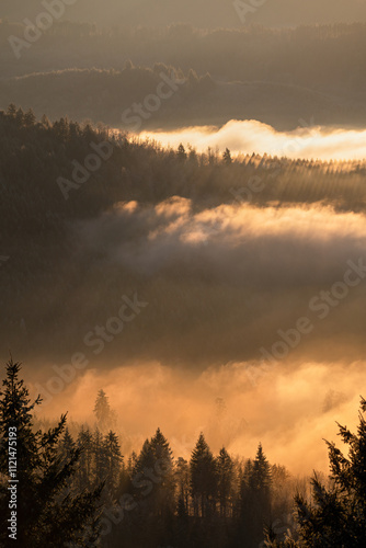 Herbstlicher Nebelmorgen im Schwarzwald