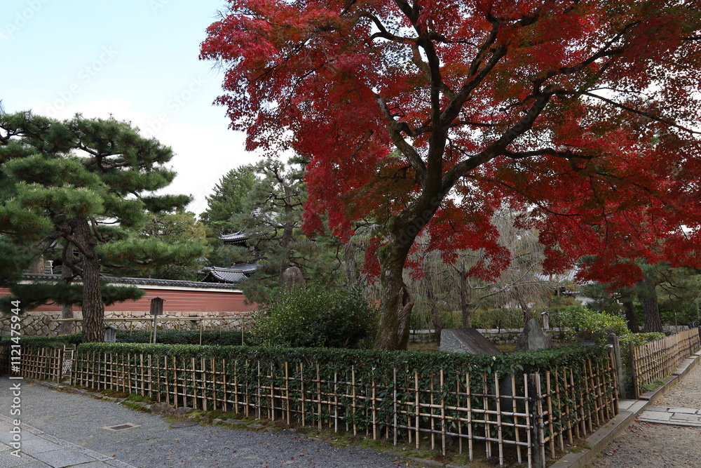 A Japanese temple : a scene of the precincts of Kennin-ji Temple in Kyoto City A Japanese temple : a scene of the precincts of Kennin-ji Temple in Kyoto City