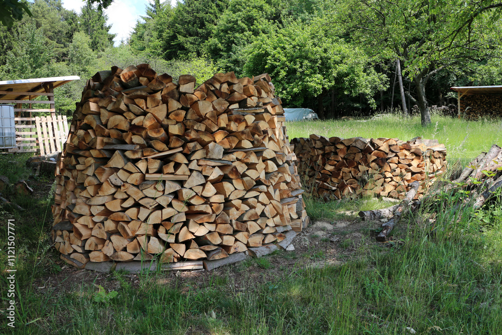 Stack of wood logs by Lykershausen - Rheinsteig - between Saint Goarshausen and Kamp-Bornhofen - Hesse - Germany Stack of wood logs by Lykershausen - Rheinsteig - between Saint Goarshausen and Kamp-Bornhofen - Hesse - Germany