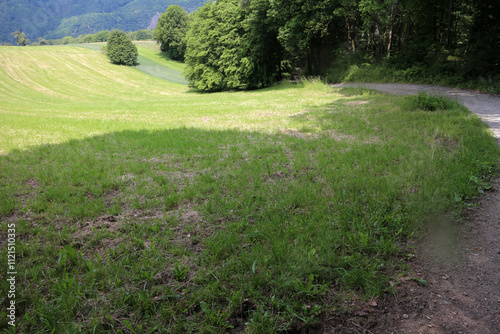 Between Lahnstein auf der Höhe and Frieland - Rheinsteig - between Braubach and Koblenz - Hesse - Germany photo