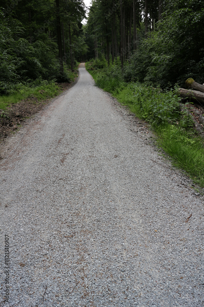 Fototapeta premium Trail around Lahnstein - Rheinsteig - between Braubach and Koblenz - Hesse - Germany