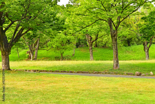 Hiroshima; Japan - august 6 2024 : castle park