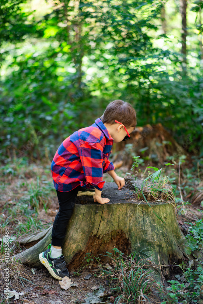 Child explores nature while standing on tree stump. A young child in a checkered shirt investigates a tree stump in a wooded area, showcasing curiosity and exploration. Child explores nature while standing on tree stump. A young child in a checkered shirt investigates a tree stump in a wooded area, showcasing curiosity and exploration.