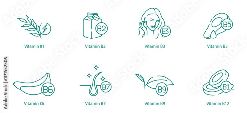 Complete Vitamin B Complex Icon Set - B1, B2, B3, B5, B6, B7, B9, and B12 for Energy and Health