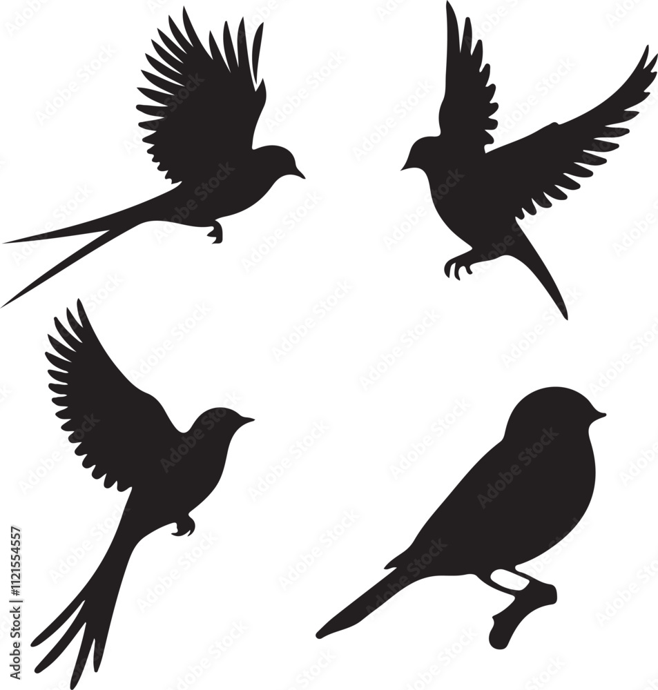 Obraz premium Set of black bird silhouettes. Vector elements for design.