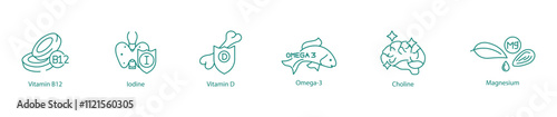 Essential Nutrients Icon Set - Vitamin B12, Iodine, Vitamin D, Omega-3, Choline, and Magnesium for Health