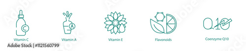 Antioxidants and Nutrients Icon Set - Vitamin C, Vitamin A, Vitamin E, Flavonoids, and Coenzyme-10 for Wellness