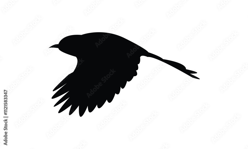 Obraz premium Flying Abbott's babbler Bird Silhouette Design And Vector Illustration. 