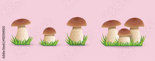 Seamless vector pattern with cute cartoon forest mushrooms. Edible mushroom boletus on white background.
