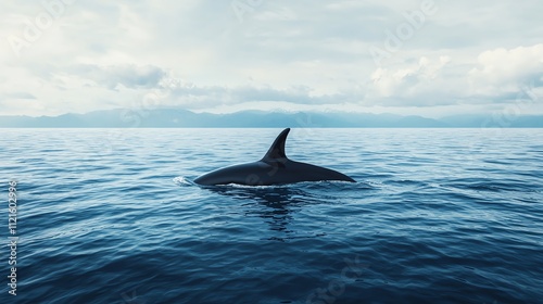 A majestic whale fin rises above the serene ocean surface under cloudy skies.