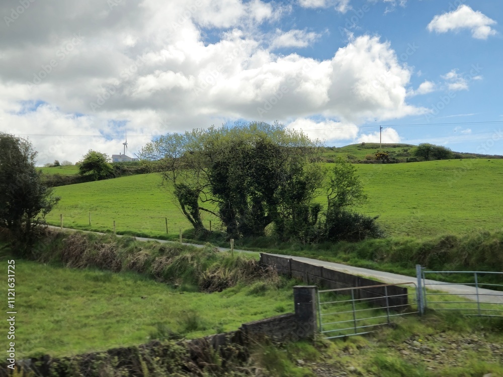 Highland Landscape with Trees and Clouds Highland Landscape with Trees and Clouds