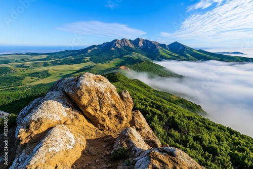 A photo of a foggy valley at sunrise, with condensation and evaporation visibly at play photo