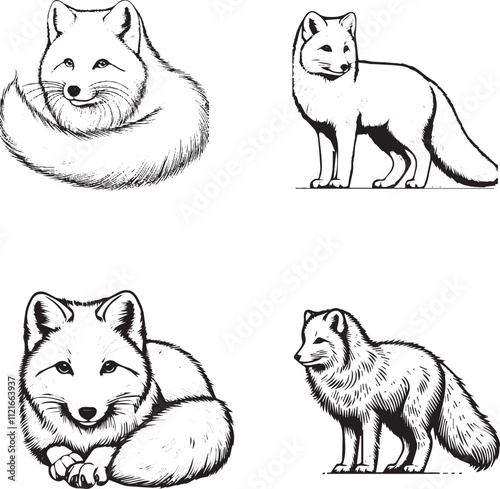 Hand-Drawn Fox Illustrations Set