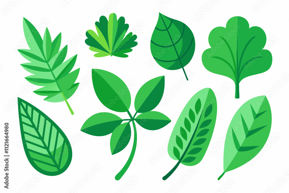 Green palm leaves isolated on a white background Green palm leaves isolated on a white background